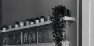 Beyond Skincare: The Healing Philosophy Behind Skin By Karoly Skincare