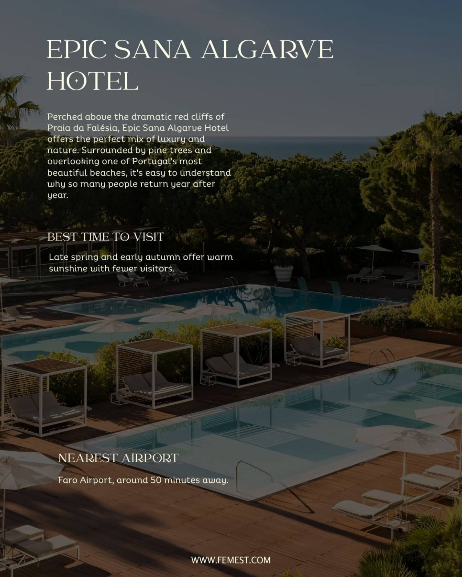 Yoga Retreats